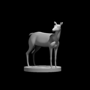 Deer
