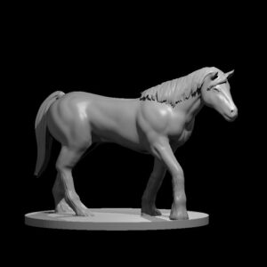 Draft Horse