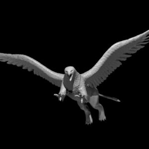 Griffon flying