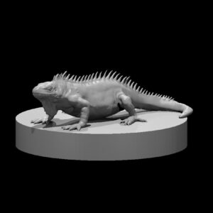 Lizard