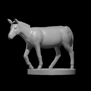 Mule