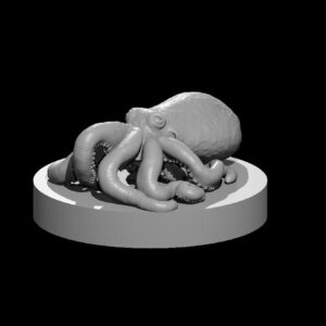 Octopus