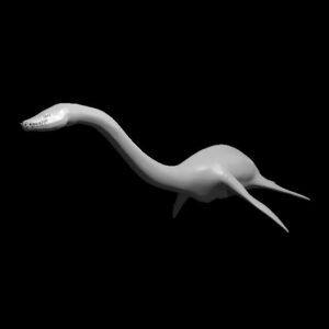 Plesiosaurus