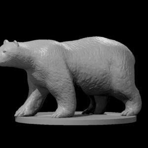 Polar Bear