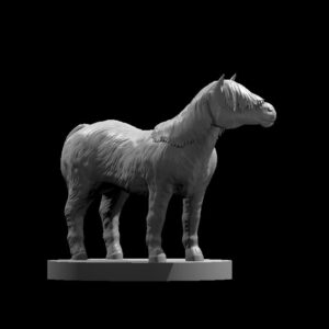 Pony
