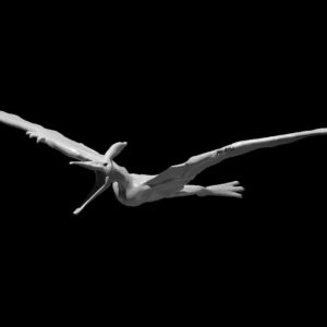 Pteranodon