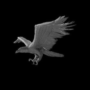 Raven Flying
