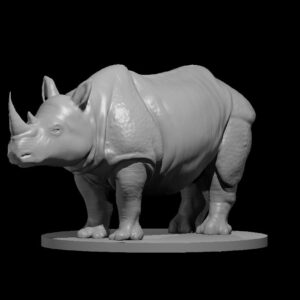 Rhinoceros