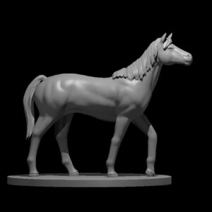 Riding Horse