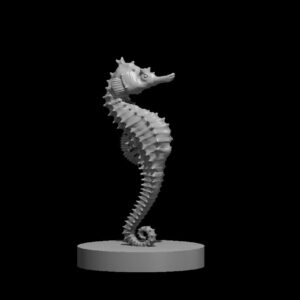 Sea Horse