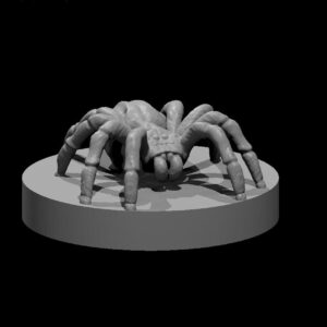 Spider