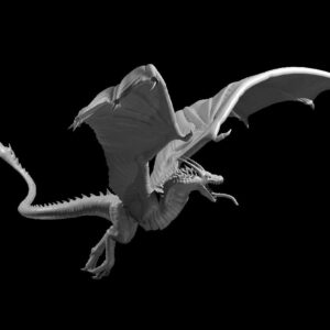 Wyvern Flying