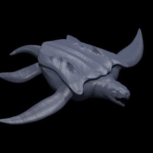 Archelon