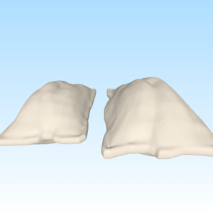 Bags_06