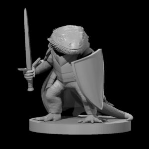 Bearded Dragonborn Fighter