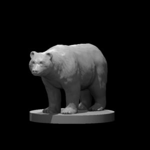 Black Bear
