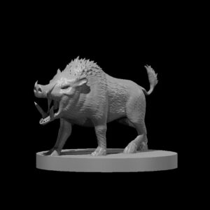 Boar