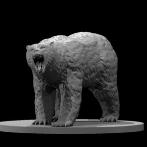 Brown Bear