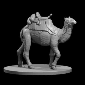 Camel Mount