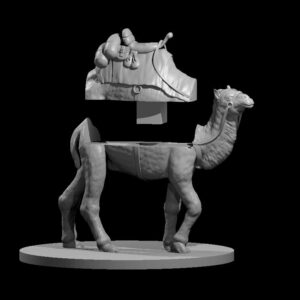 Camel Mount with mini slot
