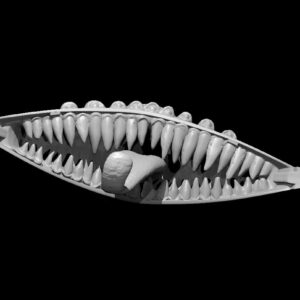 Canoe Mimic