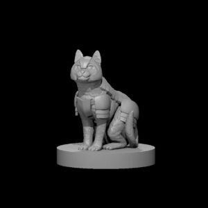 Cat in Armor