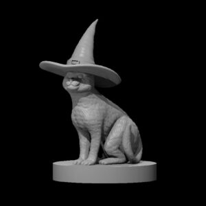 Cat with Witch Hat