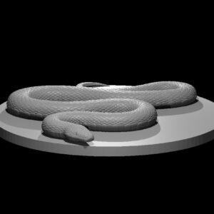 Constrictor Snake