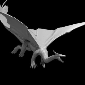 Copper Dragon Adult