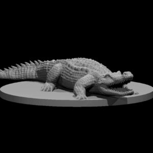 Crocodile