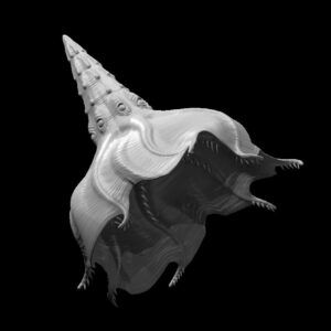 Darkmantle