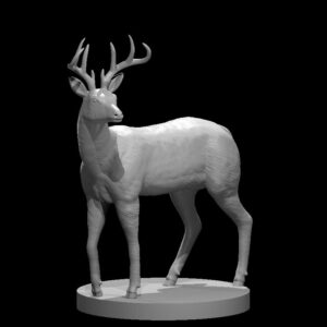Deer Buck