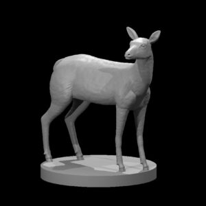 Deer Doe