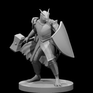 Dragonborn Paladin w Warhammer n Shield