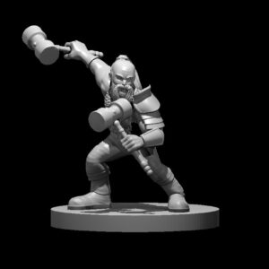 Dwarf Fighter 3 Dual Hammers
