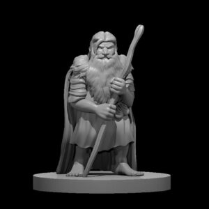 Dwarf Male Druid 3