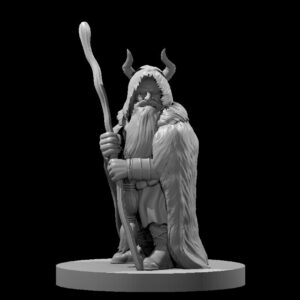 Dwarf Male Druid 4