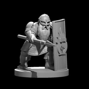 Dwarf Male Fighter 6 spear and shield