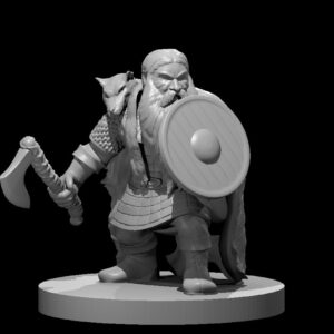 Dwarf Male Fighter 7