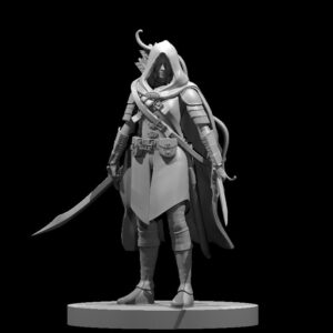 Elf Female Ranger w Two swords