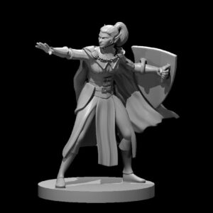 Elf Female Warlock with Shield