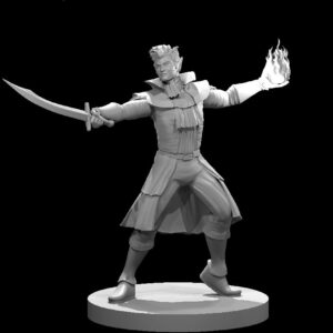 Elf Male Bladesinger