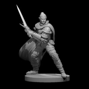 Elf Male Fallen Paladin