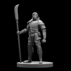 Elf Male Fighter Heavy Armor w Glaive