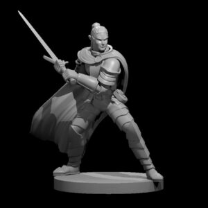 Elf Male Paladin 2