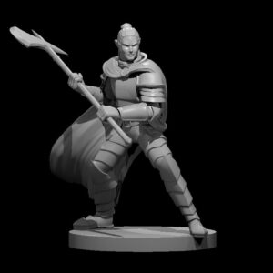 Elf Male Paladin 2 w Halberd