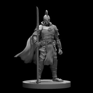 Elf Male Paladin 3 w Glaive