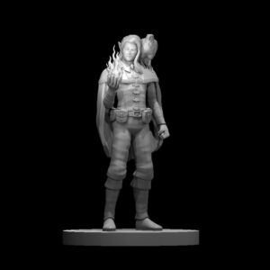 Elf Male Sorcerer with Hawk