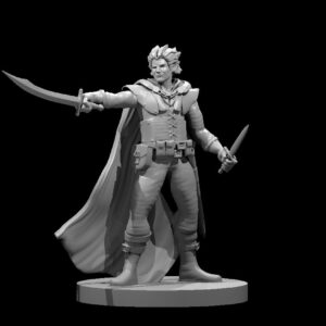 Elf Male Swashbuckler