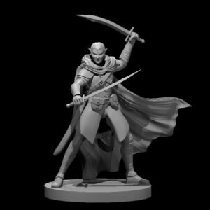 Elf Male Two Sword Ranger 4